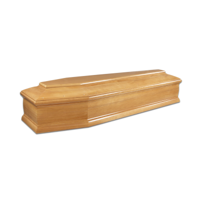 Tipo 725 Noce Asiatico